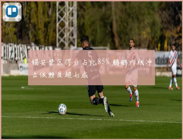 锡安禁区得分占比85% 鹈鹕内线冲击依赖度超七成